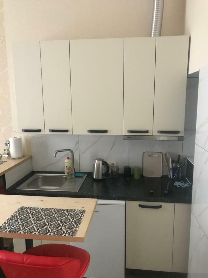 Apartment Barvy Lvova On Kostyushka St Buitenkant foto